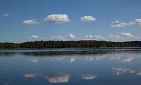 Kesäinen järven pinta.