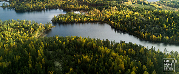 Saimaa-ilmakuva.