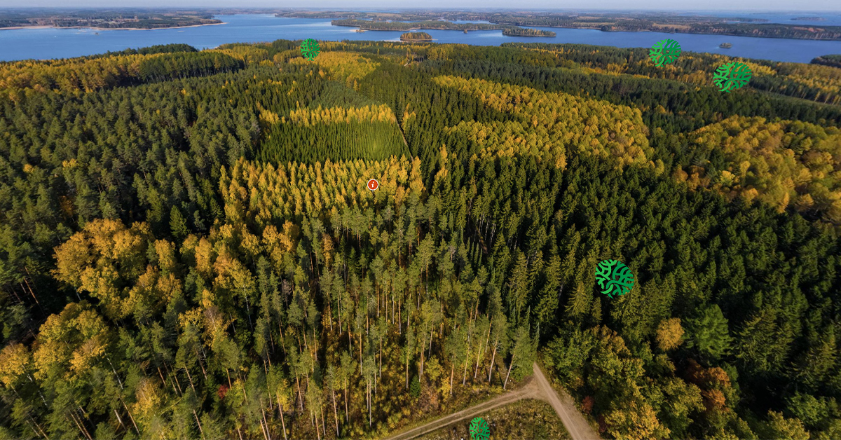 Strategisten kärkien ympärille rakentuvat klusterit lisäävät yhteistyötä, toiminnan vaikuttavuutta ja tunnettuutta