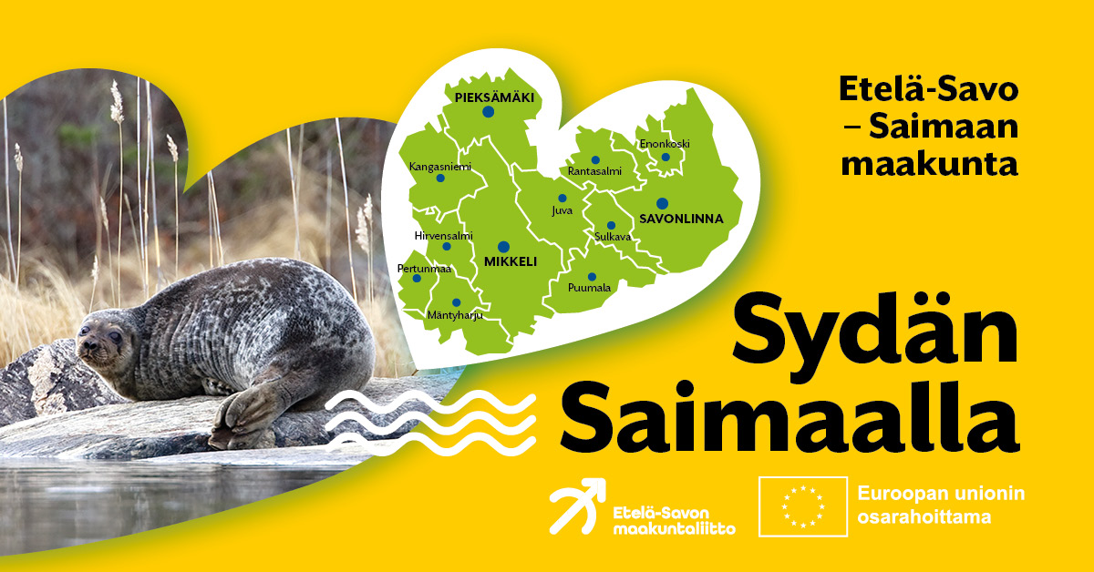 Väestön väheneminen ja ikääntyminen haastaa Etelä-Savoa yhä voimakkaammin lähivuosina. Alueet Suomessa kilpailevat muuttajista ja osaavasta työvoimasta. 